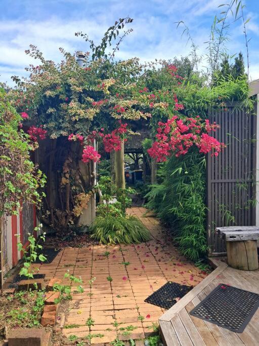 Secret Cottage Waitara Eksteriør billede