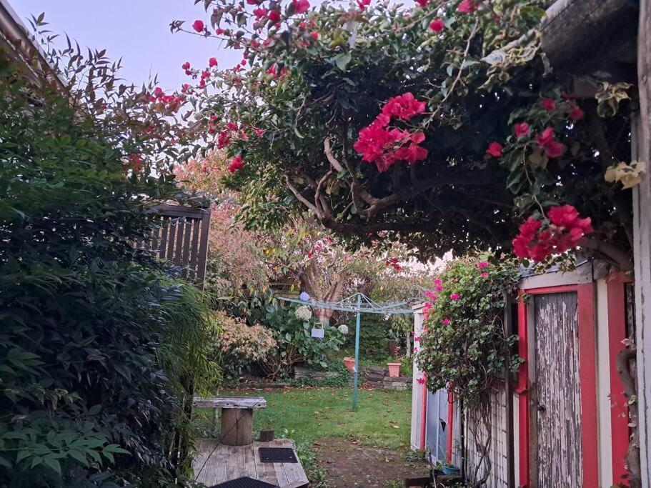 Secret Cottage Waitara Eksteriør billede